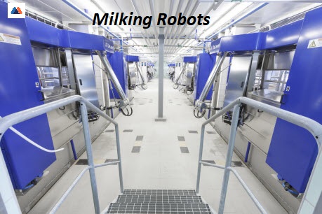 Milking Robots
