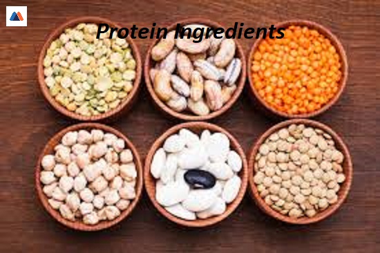Protein Ingredients
