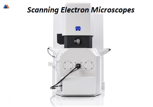 Scanning Electron Microscopes